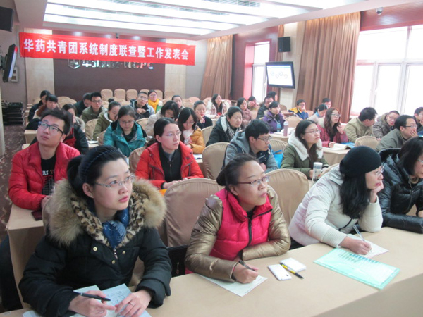 共青团系统举办“五四”制度联查暨工作发表会<br />