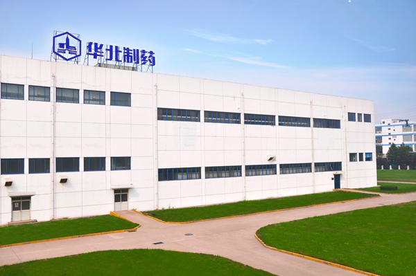 PA视讯开发区统一标识展新姿