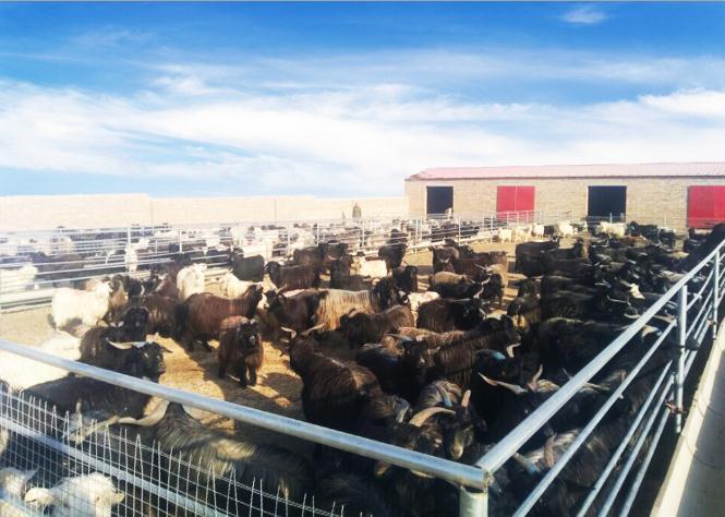 PA视讯集团驻村组：“幸福”存折 储存希望