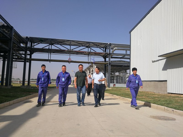 省国资委、冀中能源集团领导来华恒调研